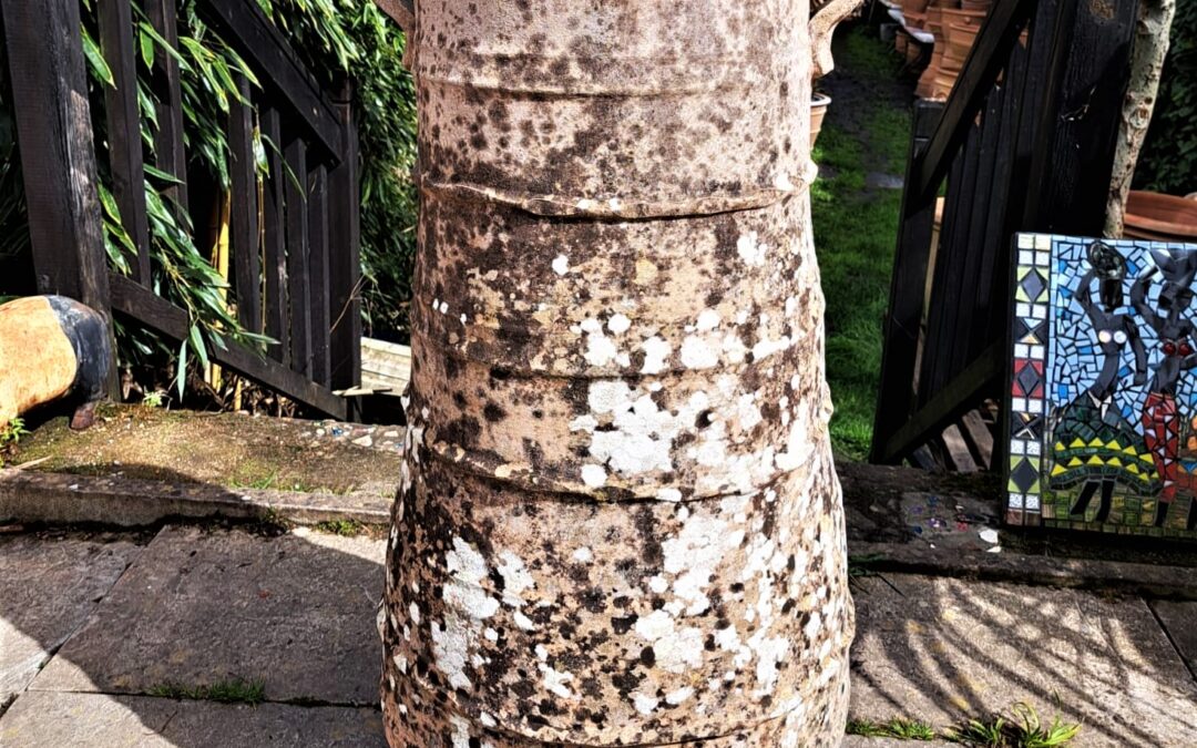 Antique Cretan Pot Bogiazopitharo  – Stunning Patina – Handmade – Extra Large 94cm High X 45cm Dia – 120+ Years Old – £295